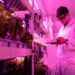 how to integrate technology with traditional farming