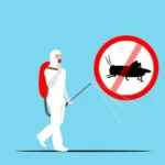 Expert Extermination Services for Pest and Vermin Removal