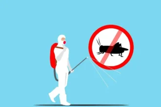 Expert Extermination Services for Pest and Vermin Removal